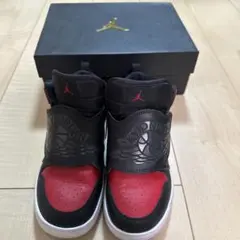 NIKE スカイジョーダン1 20cm