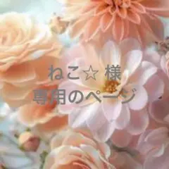ねこ☆様　専用のページです