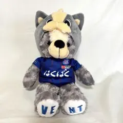 【限定値下 2/23まで】 ご当地ベア ヴァンフォーレ甲府ヴァンくん グレー