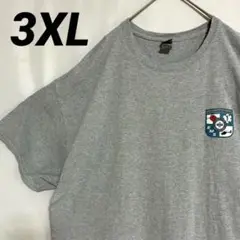 古着 アメリカ古着 Ｔシャツ　ギルダン　グレー　3XL レスキュー　EMS ロゴ