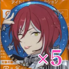 逆先夏目 缶バッジ スタライ あんスタ 10th