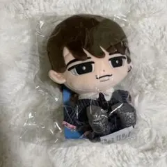 SnowMan 渡辺翔太 すのチル ぶら下がらないシリーズぬいぐるみ