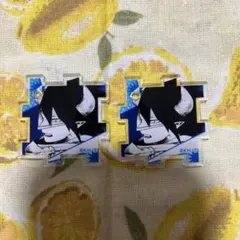 アイルーファンクラブ様 リクエスト 2点 まとめ商品