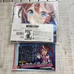 ウマ娘 プリティーダービー トウカイテイオー　2点セット