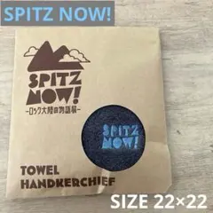 SPITZ NOW! ロゴ刺繍ミニタオル　グレー