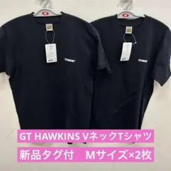 【新品タグ付】GTHAWKINS VネックTシャツ Mサイズ黒無地 2枚セットのサムネイル