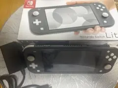【即日発送】スイッチライト