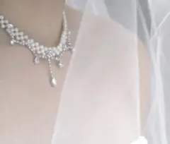 【美品】アクセサリー　ネックレス　パール　クリスタルチョーカー