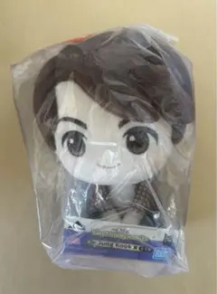BTS Jung Kook ぬいぐるみ タイニータン　一番くじ　ジョングク
