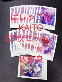 プロセカ ぱしゃこれ KAITO 23枚セットのサムネイル