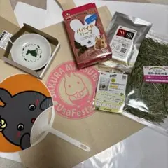 Item thumbnail for item 258996a4-2b0a-4c61-a596-11cb7b91c3dd