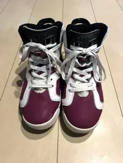 NIKE Jordan 6 Retro Grapeナイキジョーダン6 25cm