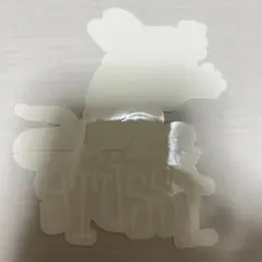 stussy ストリート系スポーツ