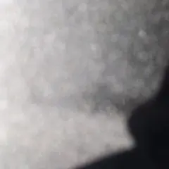 引退品