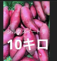 甘い滑らかシルクスイート芋10kgサイズS.Ｍのサムネイル