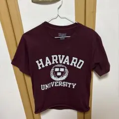 Champion HARVARD Tシャツ バーガンディのサムネイル