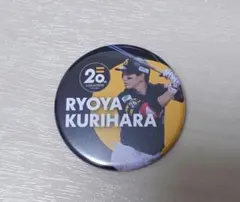 南海ホークス ピンバッジ コンプリート ダイエーホークス ソフトバンクホークス 2025年最新】ピンバッジ 南海ホークスの人気アイテム - メルカリ