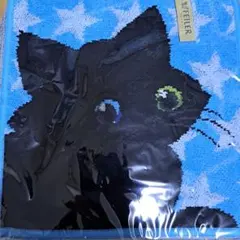 Item thumbnail for item 6894d2d9-a9df-467e-96de-e12367262056