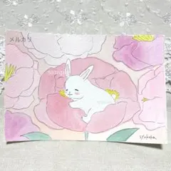 原画　水彩画　うさぎ　花　ポストカード　手描きイラスト　アナログイラスト　特厚口
