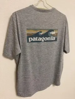 patagonia グレー Tシャツ