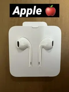 Apple AirPods 本体 Lightning接続