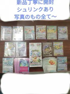 テラスタルクエストEX セット　新品未開封　電気屋さんでの購入　ブラッキー