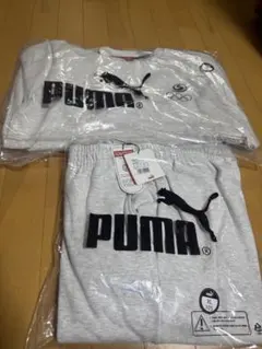 サボさん様 リクエスト 2点 まとめ商品