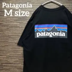 Patagonia 定番　Tシャツ　古着　Y2K アウトドア　ストリート