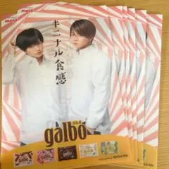 timelesz 菊池風磨　クリアファイル