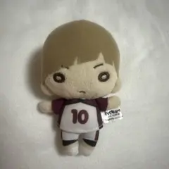 本日8月28日までの出品　ハイキュー にとたん　白布　賢二郎 にとたん ハイキュー！！ ボールチェーン付ぬいぐるみ 白布