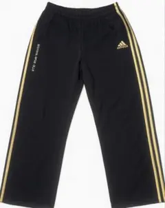 adidas ジャージ ゴールドライン L レア トレフォイル 武道モデル