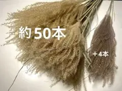 No.01 ドライフラワー ススキ　花材　素材