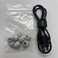 純正付属品/イヤピース/Technics EAH-AZ100-S/シルバー/銀コ