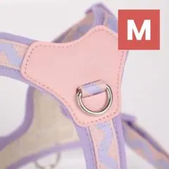 Item thumbnail for item d961d876-27a6-4d65-9ec9-a73027d16919