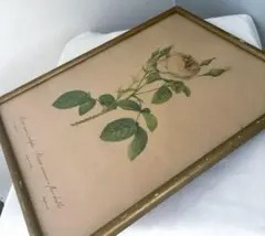 ロベール・ドローネー、窓、希少画集画、状態良好、新品額装付 - メルカリ