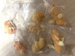 ふわふわドール PAMO NO MURE