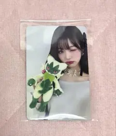 2026年最新】ウォニョン トレカ ポケモンの人気アイテム - メルカリ