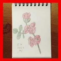 今年８８歳になるおばあちゃんの鉛筆画【ボケ】イラスト 絵画 色鉛筆画