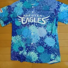 Item thumbnail for item 8a4aa3df-2581-460c-8485-a9e5d368ceba