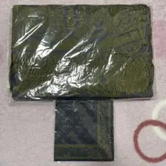 Item thumbnail for item 8a24d05a-8643-4e05-9be1-26852c599c09