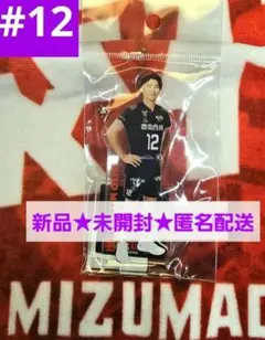 新品★未開封 水町泰杜 選手25-26選手アクリルスタンド ウルフドッグス名古屋