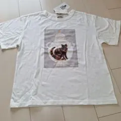 猫イラスト ホワイト Tシャツ フリーサイズ