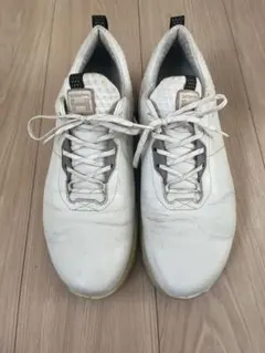ecco ゴルフシューズ シューズ