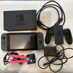 Nintendo Switch 本体 グレー おまけ付き