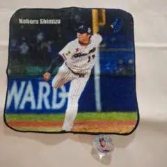 Item thumbnail for item 6f99f52a-93ba-418c-9e64-367e6e9046e4