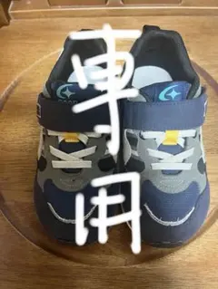 Item thumbnail for item 1b9b8312-7cc1-432b-b61b-f50577528071