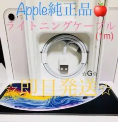 Apple純正品 iPhone Lightning充電ケーブル 充電器充電線