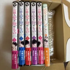 3巻新刊❤️堅物夫が私 妻 と浮気しています!?全巻 完結❤️ 新刊❤️溺愛誓約