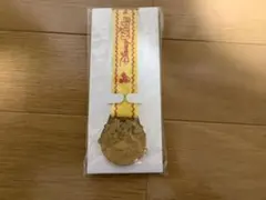 東京ディズニーランド　メダル　サマーアドベンチャー　非売品