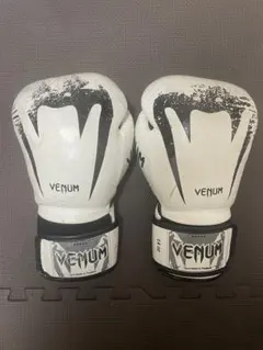 Item thumbnail for item 1e0dfd61-3ba9-4efa-b3f4-5d9b629f7208